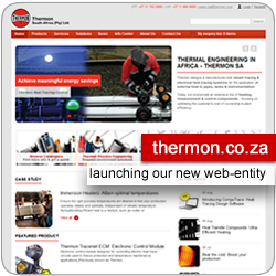 thermon.co.za: Launching our new web entity